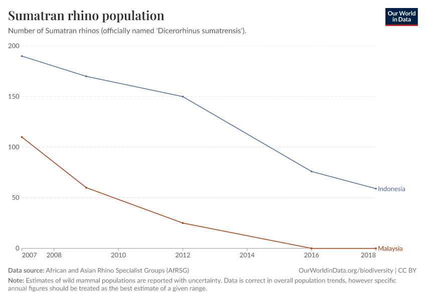 Sumatran rhino population